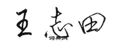 骆恒光王志田行书个性签名怎么写
