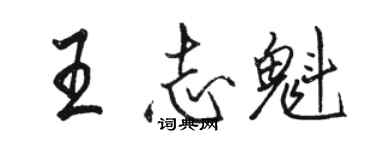 骆恒光王志魁行书个性签名怎么写