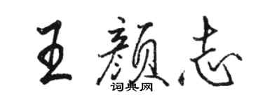 骆恒光王颜志行书个性签名怎么写