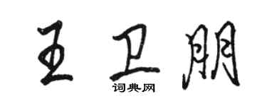骆恒光王卫朋行书个性签名怎么写