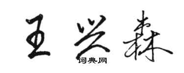 骆恒光王兴森行书个性签名怎么写