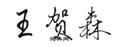 骆恒光王贺森行书个性签名怎么写