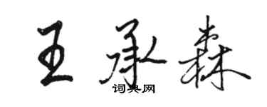 骆恒光王承森行书个性签名怎么写