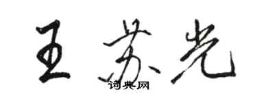 骆恒光王苏光行书个性签名怎么写