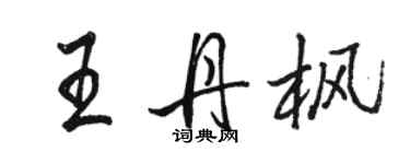 骆恒光王丹枫行书个性签名怎么写