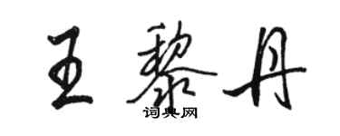 骆恒光王黎丹行书个性签名怎么写