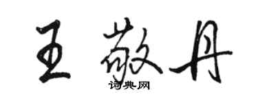 骆恒光王敬丹行书个性签名怎么写