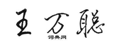 骆恒光王万聪行书个性签名怎么写
