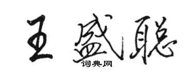 骆恒光王盛聪行书个性签名怎么写