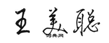 骆恒光王美聪行书个性签名怎么写