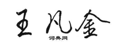 骆恒光王凡金行书个性签名怎么写