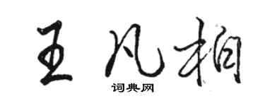 骆恒光王凡柏行书个性签名怎么写
