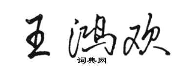 骆恒光王鸿欢行书个性签名怎么写