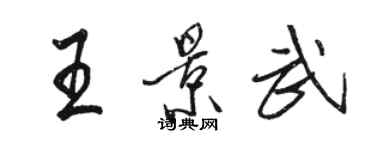 骆恒光王景武行书个性签名怎么写