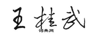 骆恒光王桂武行书个性签名怎么写
