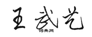 骆恒光王武艺行书个性签名怎么写