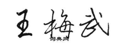 骆恒光王梅武行书个性签名怎么写