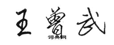 骆恒光王曾武行书个性签名怎么写