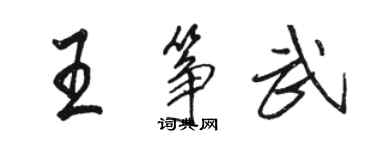 骆恒光王筝武行书个性签名怎么写
