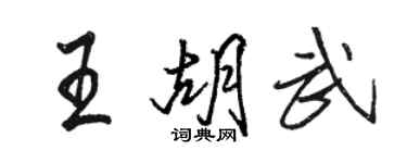 骆恒光王胡武行书个性签名怎么写