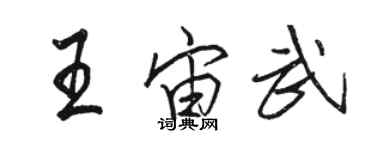 骆恒光王宙武行书个性签名怎么写