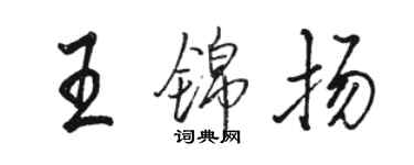 骆恒光王锦扬行书个性签名怎么写