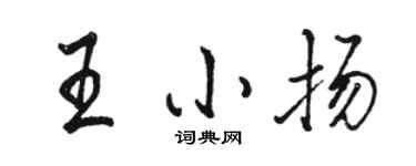 骆恒光王小扬行书个性签名怎么写