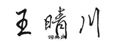 骆恒光王晴川行书个性签名怎么写