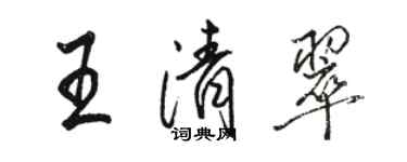骆恒光王清翠行书个性签名怎么写