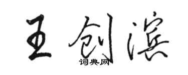 骆恒光王创滨行书个性签名怎么写