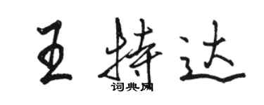 骆恒光王特达行书个性签名怎么写