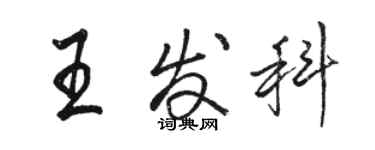 骆恒光王发科行书个性签名怎么写