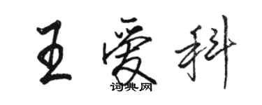 骆恒光王爱科行书个性签名怎么写