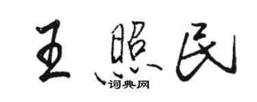 骆恒光王照民行书个性签名怎么写