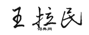 骆恒光王拉民行书个性签名怎么写