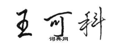 骆恒光王可科行书个性签名怎么写