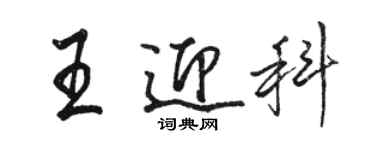 骆恒光王迎科行书个性签名怎么写