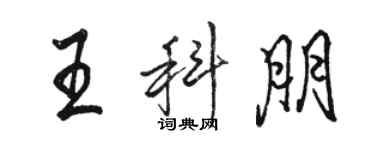 骆恒光王科朋行书个性签名怎么写