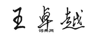 骆恒光王卓越行书个性签名怎么写