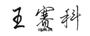 骆恒光王赛科行书个性签名怎么写