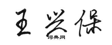 骆恒光王兴保行书个性签名怎么写