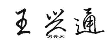 骆恒光王兴通行书个性签名怎么写