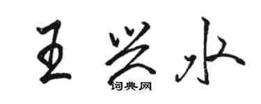 骆恒光王兴水行书个性签名怎么写