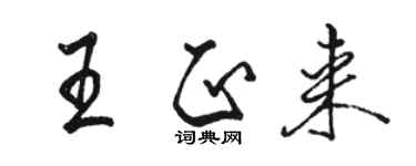骆恒光王正来行书个性签名怎么写