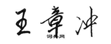 骆恒光王章冲行书个性签名怎么写
