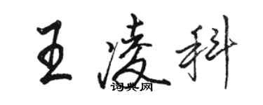 骆恒光王凌科行书个性签名怎么写