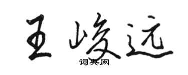 骆恒光王峻远行书个性签名怎么写