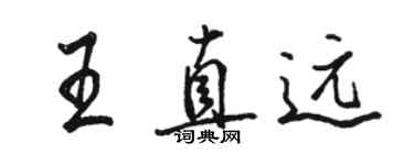 骆恒光王直远行书个性签名怎么写