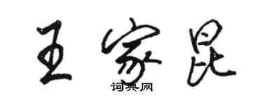 骆恒光王家昆行书个性签名怎么写
