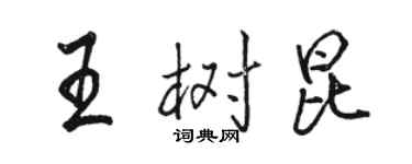 骆恒光王树昆行书个性签名怎么写